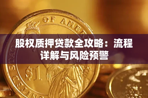 武汉股权质押贷款全攻略：流程详解与风险预警