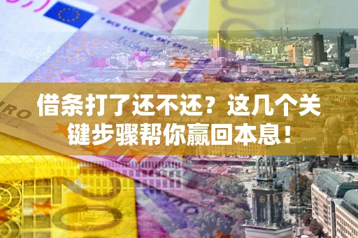 武汉借条打了还不还？这几个关键步骤帮你赢回本息！