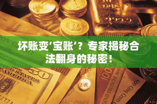 武汉坏账变‘宝账’？专家揭秘合法翻身的秘密！