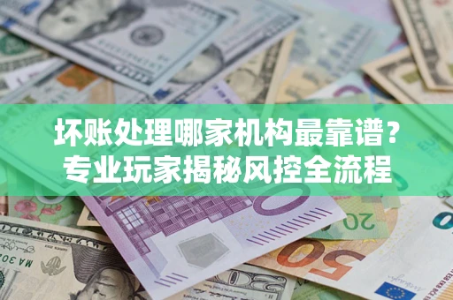 武汉坏账处理哪家机构最靠谱？专业玩家揭秘风控全流程
