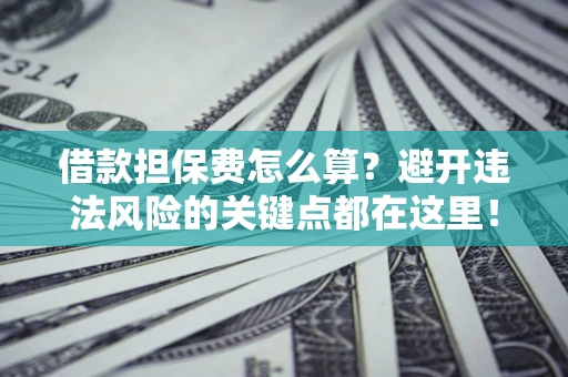 武汉借款担保费怎么算？避开违法风险的关键点都在这里！