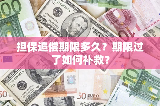 武汉担保追偿期限多久？期限过了如何补救？
