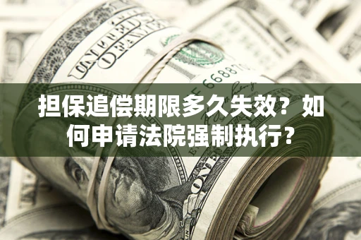 武汉担保追偿期限多久失效？如何申请法院强制执行？