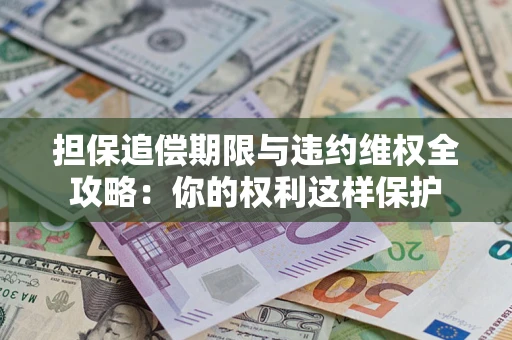 武汉担保追偿期限与违约维权全攻略：你的权利这样保护