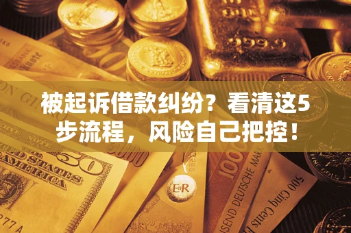 武汉被起诉借款纠纷？看清这5步流程，风险自己把控！