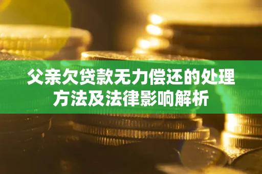 武汉父亲欠贷款无力偿还的处理方法及法律影响解析