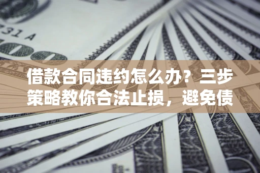 武汉借款合同违约怎么办？三步策略教你合法止损，避免债务危机升级