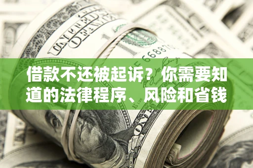 武汉借款不还被起诉？你需要知道的法律程序、风险和省钱技巧