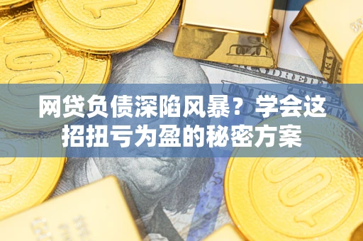 武汉网贷负债深陷风暴？学会这招扭亏为盈的秘密方案
